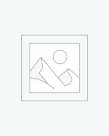 Buy Cylendrical Shape Speakers